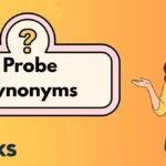 Probe Synonyms
