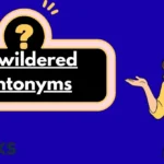 Bewildered Antonyms