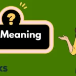 BSF Meaning