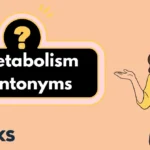 Metabolism Antonyms