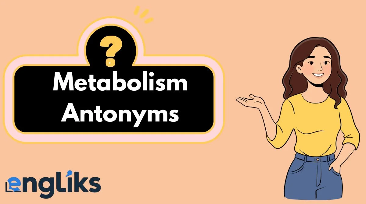 Metabolism Antonyms