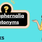 Paraphernalia Antonyms