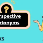Perspective Antonyms